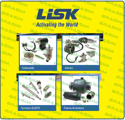 Gw Lisk-307252  price