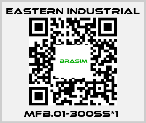 Eastern Industrial-MFB.01-300SS*1  price