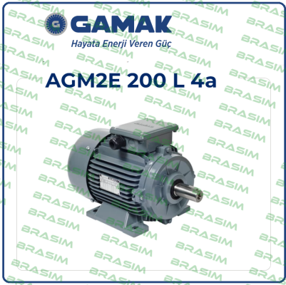 Gamak-AGM2E 200 L 4 price