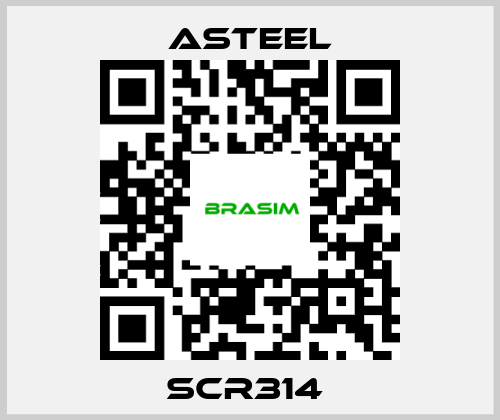 ASTEEL-SCR314  price