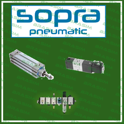 Sopra-Pneumatic-Pneumatic Cylinder for VI100.040.030(1105)  price