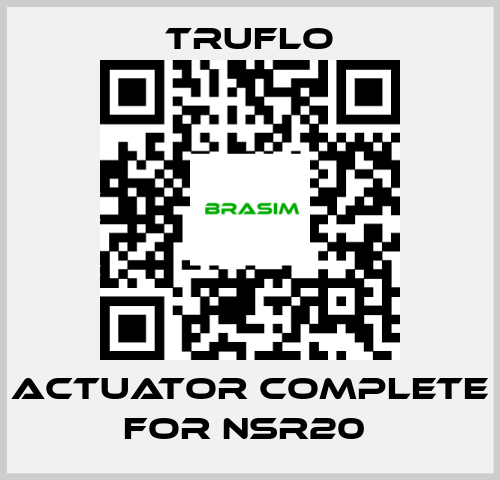 TRUFLO-Actuator Complete For NSR20  price