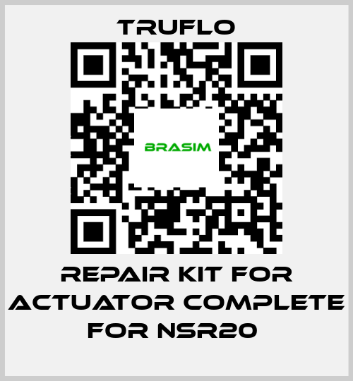 TRUFLO-Repair Kit For Actuator Complete For NSR20  price