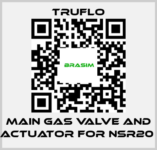 TRUFLO-Main Gas Valve and Actuator For NSR20  price