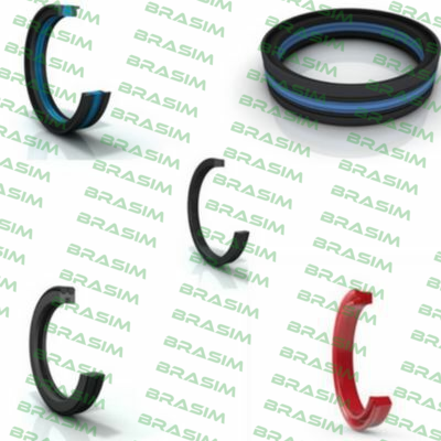 Polypac-COMPACT GASKET RCH 300500 50.00 X 70.00 L=30.00 PART.: N0O0C price