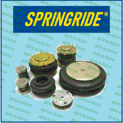 Springride-DA 4"1/2X1  price