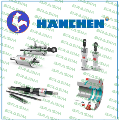 Hanchen-Dichtungsset price