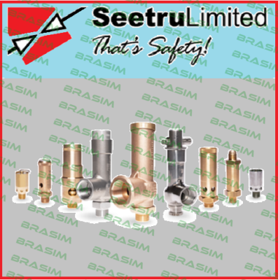 SEETRU-818880413 price