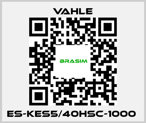 Vahle-ES-KES5/40HSC-1000  price