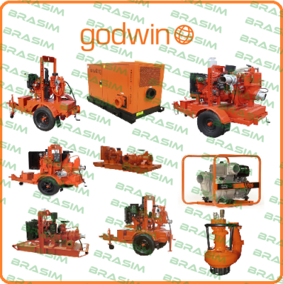 Godwin Pumps-HL6/TS-2  price