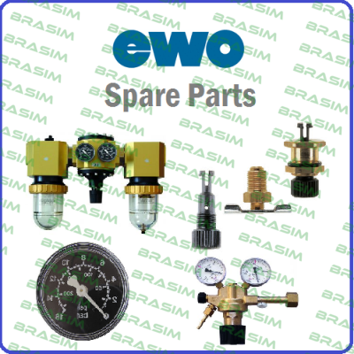 Ewo-SV-02-2-8-D/G-0,32-P  price