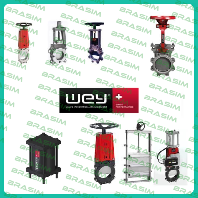 Wey Valve-1VNA.100A226   price