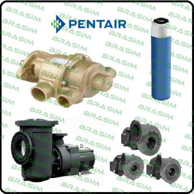 Pentek (Pentair)-Mechanical seal for Type 1.1M80H90T  price