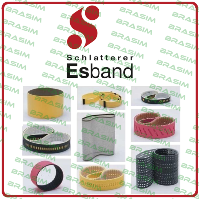 Esband-SKO48.24-3100X16  price