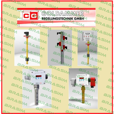 Goldammer-IND 600.12 (G1/2"-T-L100-T1-MS-1xM12) price