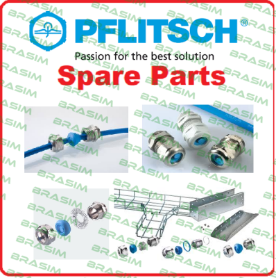 PFLITSCH-bg 250ms (1 pack = 5 pcs)  price