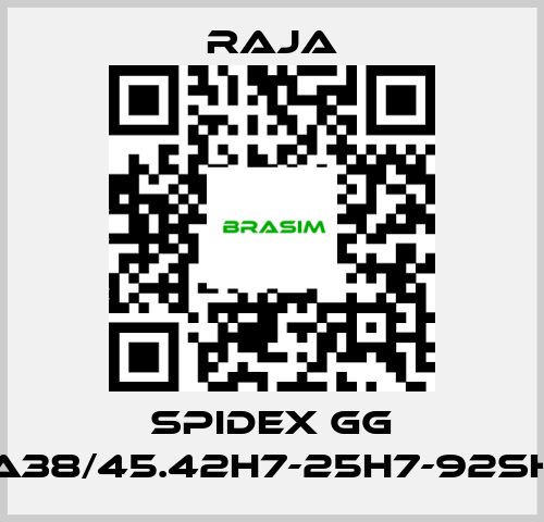 Raja-SPIDEX GG A38/45.42H7-25H7-92SH price