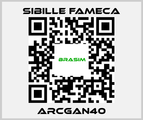 Sibille Fameca-ARCGAN40 price