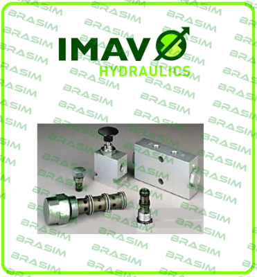 IMAV Hydraulik-Metal plate with viton orings for RZ-10S-A price