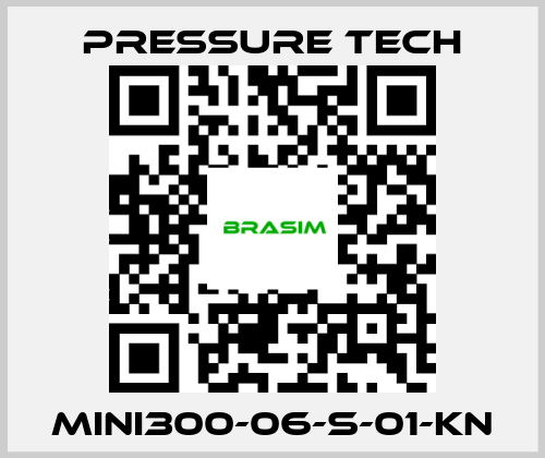 Pressure Tech-MINI300-06-S-01-KN price