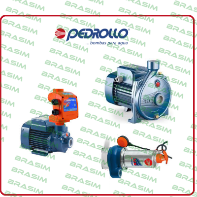 Pedrollo-engine for PQAm 60 price