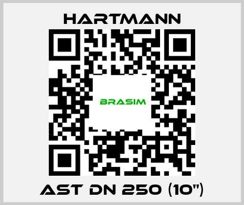 Hartmann-AST DN 250 (10") price