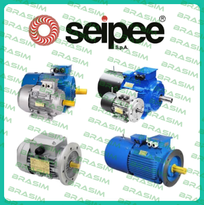 SEIPEE-JM 100LB 4 B14 with brake price