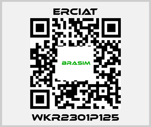 ERCIAT-WKR2301P125 price