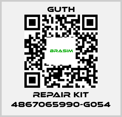 Guth-repair kit 4867065990-G054 price