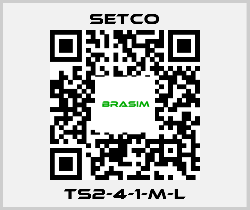 SETCO-TS2-4-1-M-L price