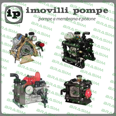 Imovilli pompe-Seal kit for P246 IMOVILLI pump price