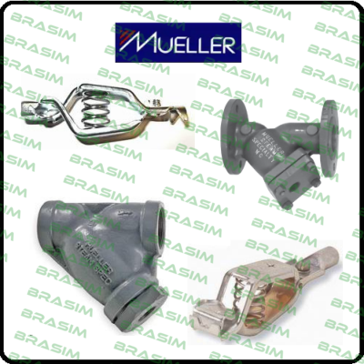 Mueller-D662Z4373K-P02HZMM6NEC5-C price