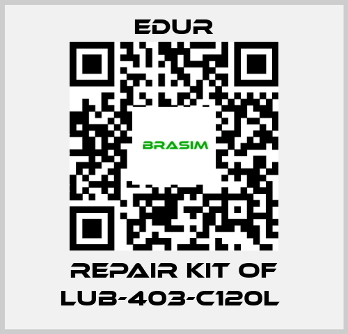 Edur-REPAIR KIT OF LUB-403-C120L  price