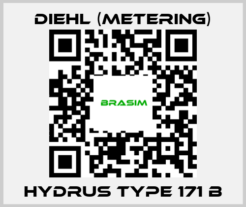 Diehl (Metering)-Hydrus Type 171 B price