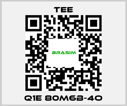 TEE-Q1E 80M6B-4O price