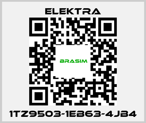 ELEKTRA-1TZ9503-1EB63-4JB4 price