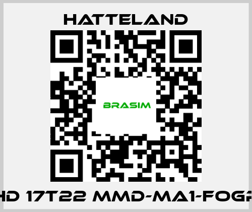 HATTELAND-HD 17T22 MMD-MA1-FOGP price