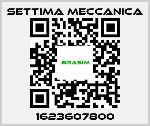 Settima Meccanica-1623607800 price