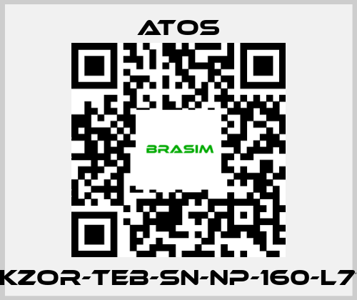 Atos-DLKZOR-TEB-SN-NP-160-L71/Q price