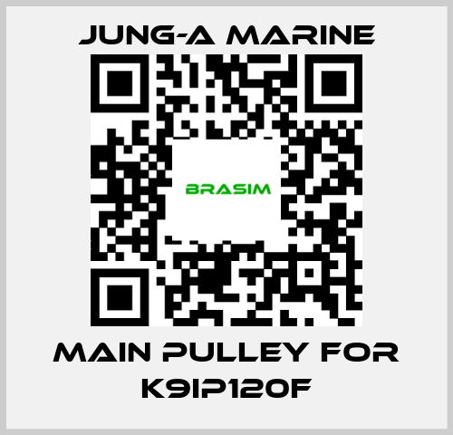 JUNG-A MARINE-main pulley for K9IP120F price