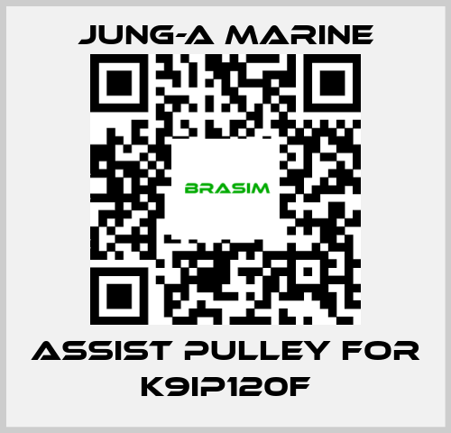 JUNG-A MARINE-assist pulley for K9IP120F price