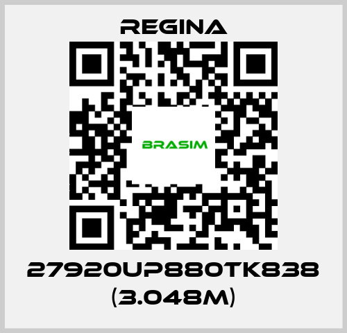 Regina-27920UP880TK838 (3.048m) price