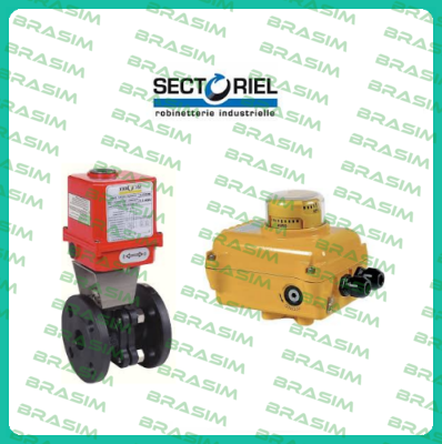 Sectoriel-SA05 50Nm 10s. 24VCA/CC price