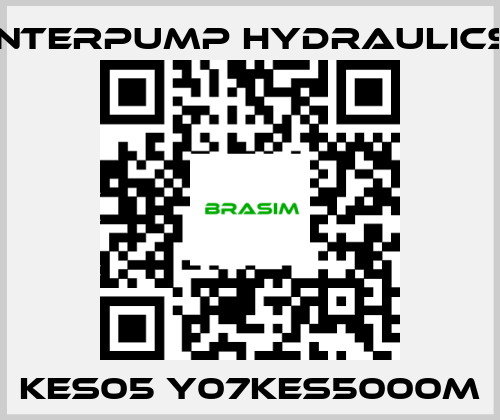 Interpump hydraulics-KES05 Y07KES5000M price