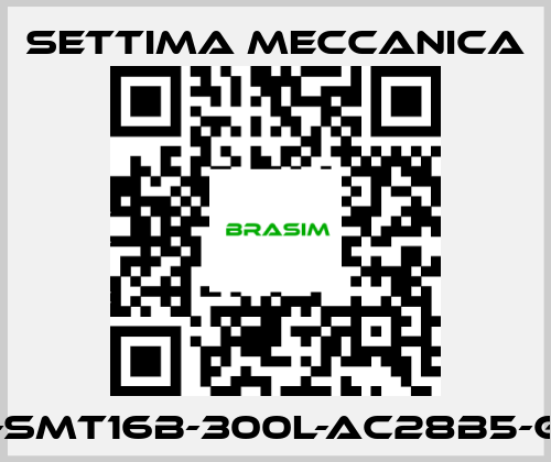 Settima Meccanica-GR55-SMT16B-300L-AC28B5-G-S2-T price