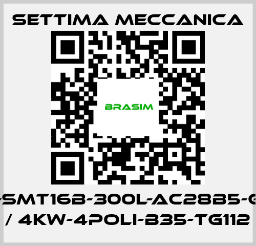 Settima Meccanica-GR55-SMT16B-300L-AC28B5-G-S2-T / 4Kw-4Poli-B35-TG112 price