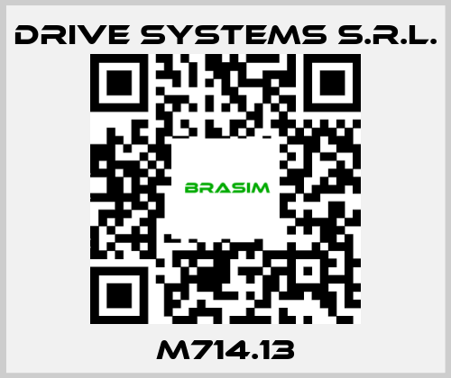 DRIVE SYSTEMS s.r.l.-M714.13 price