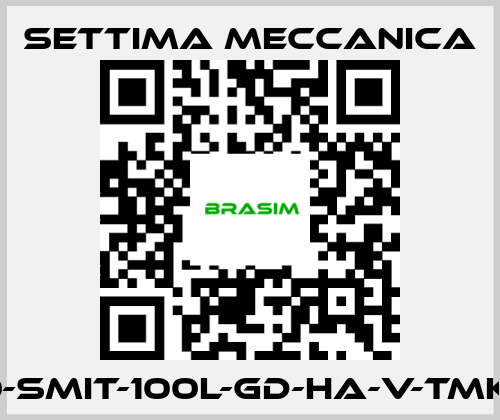 Settima Meccanica-GR40-SMIT-100L-GD-HA-V-TMK-CSM price