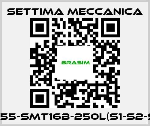 Settima Meccanica-GR55-SMT16B-250L(S1-S2-S3) price