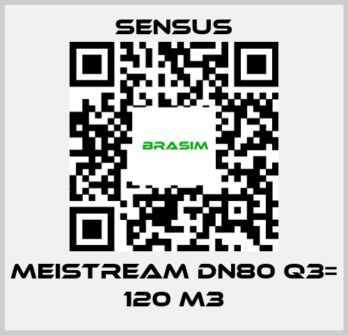 Sensus-Meistream DN80 Q3= 120 m3 price